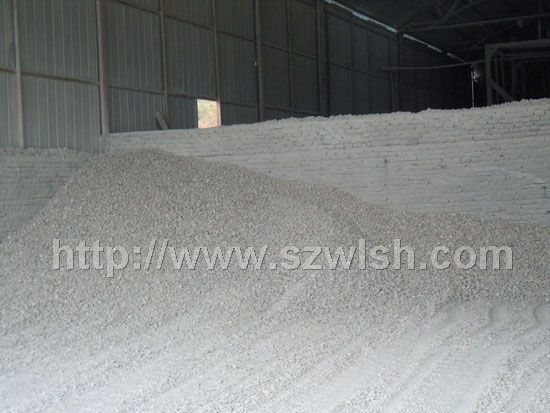 ��L(zh��ng)ʯ